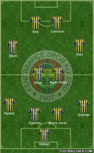 Fenerbahçe SK Formation 2013