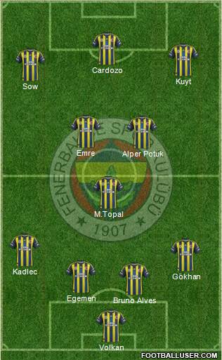 Fenerbahçe SK Formation 2013
