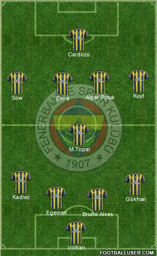 Fenerbahçe SK Formation 2013