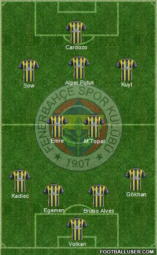Fenerbahçe SK Formation 2013