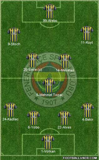 Fenerbahçe SK Formation 2013