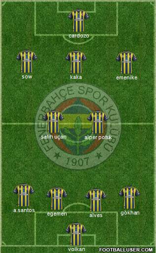 Fenerbahçe SK Formation 2013