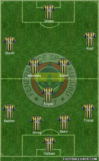 Fenerbahçe SK Formation 2013