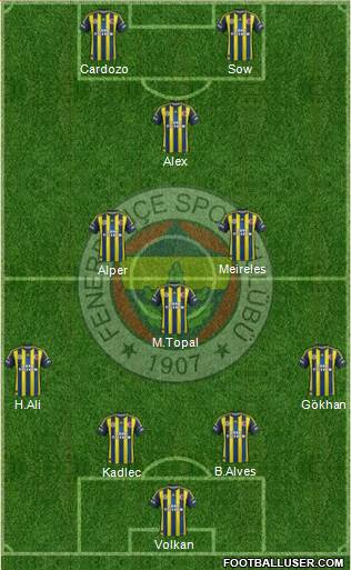 Fenerbahçe SK Formation 2013