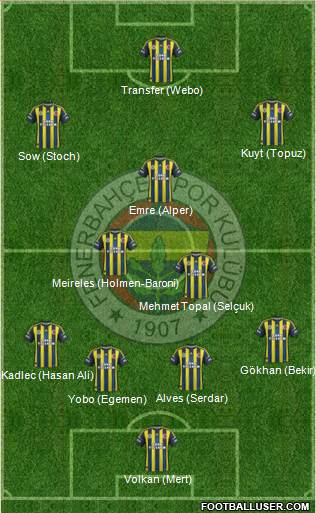 Fenerbahçe SK Formation 2013
