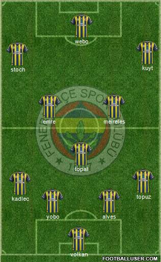 Fenerbahçe SK Formation 2013
