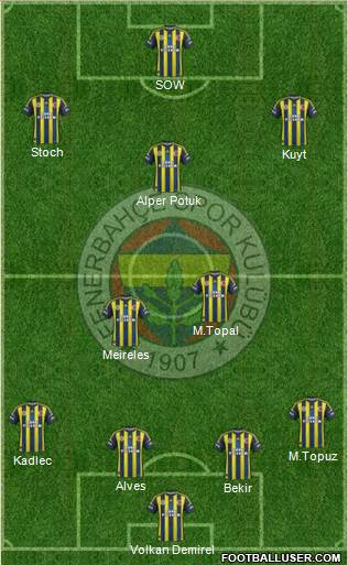 Fenerbahçe SK Formation 2013