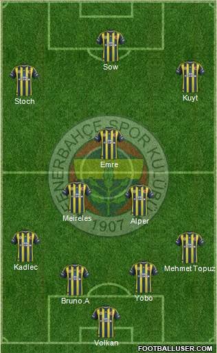 Fenerbahçe SK Formation 2013