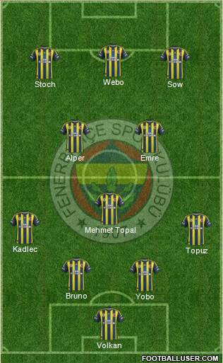 Fenerbahçe SK Formation 2013