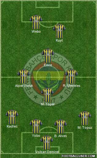 Fenerbahçe SK Formation 2013
