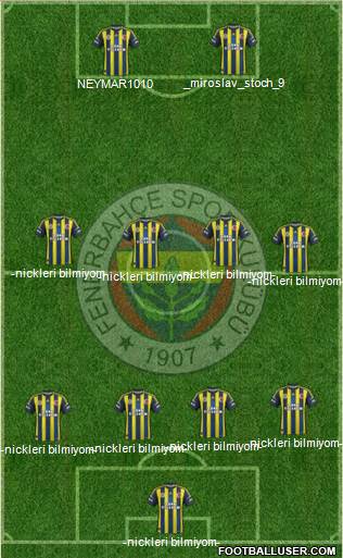 Fenerbahçe SK Formation 2013
