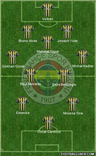 Fenerbahçe SK Formation 2013