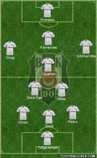 Besiktas JK Formation 2013