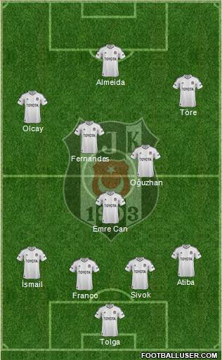 Besiktas JK Formation 2013