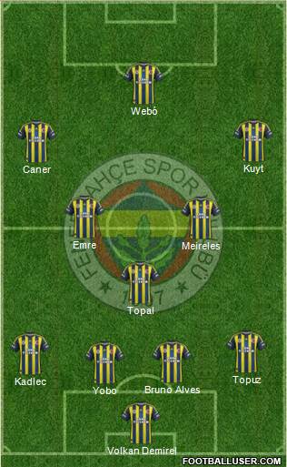 Fenerbahçe SK Formation 2013