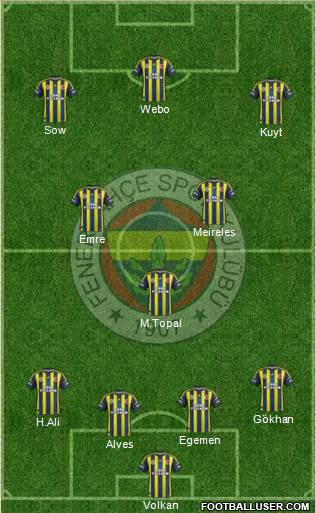 Fenerbahçe SK Formation 2013