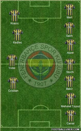 Fenerbahçe SK Formation 2013