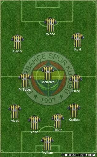 Fenerbahçe SK Formation 2013