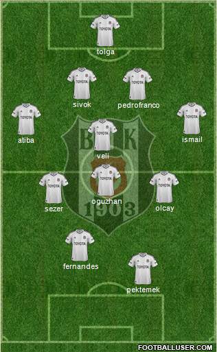Besiktas JK Formation 2013