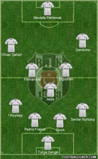 Besiktas JK Formation 2013