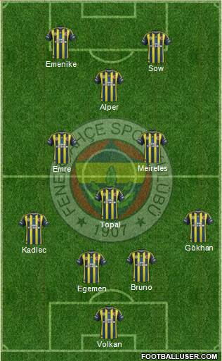 Fenerbahçe SK Formation 2013