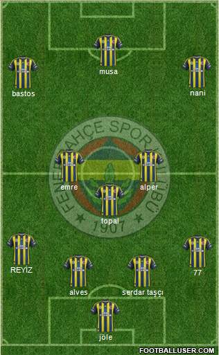 Fenerbahçe SK Formation 2013