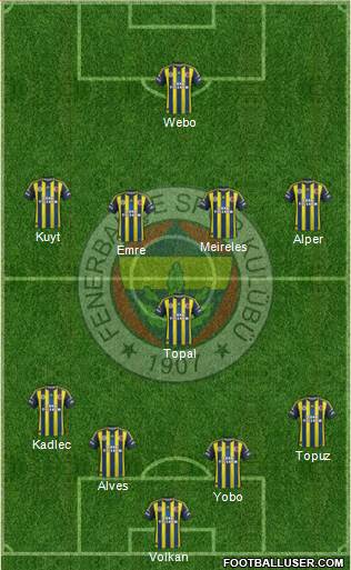 Fenerbahçe SK Formation 2013