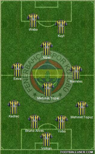 Fenerbahçe SK Formation 2013
