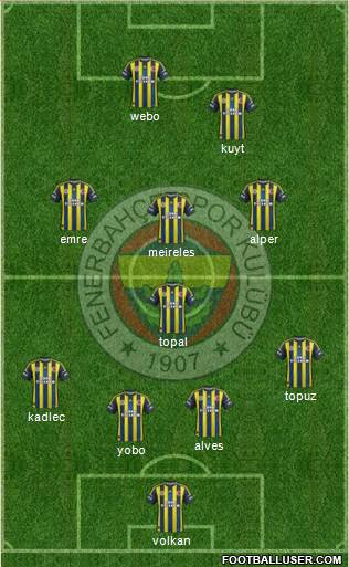Fenerbahçe SK Formation 2013