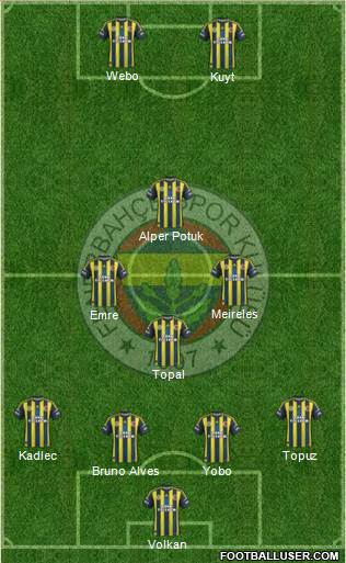 Fenerbahçe SK Formation 2013