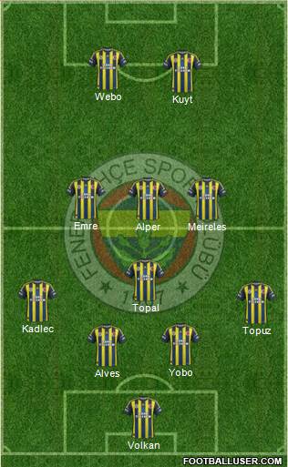 Fenerbahçe SK Formation 2013