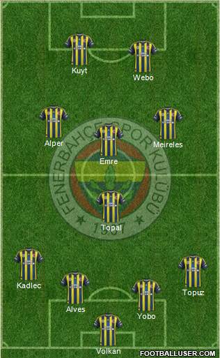 Fenerbahçe SK Formation 2013