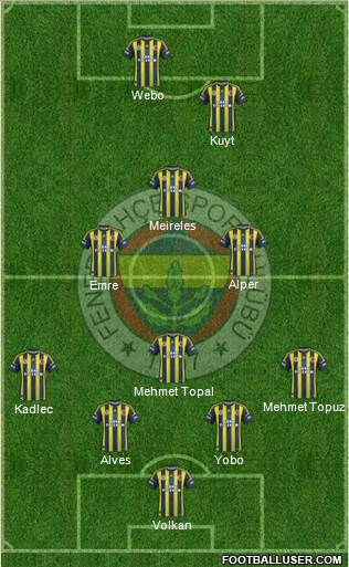 Fenerbahçe SK Formation 2013
