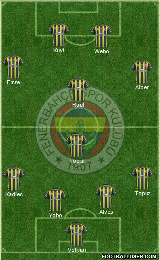Fenerbahçe SK Formation 2013
