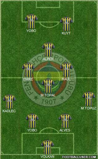Fenerbahçe SK Formation 2013