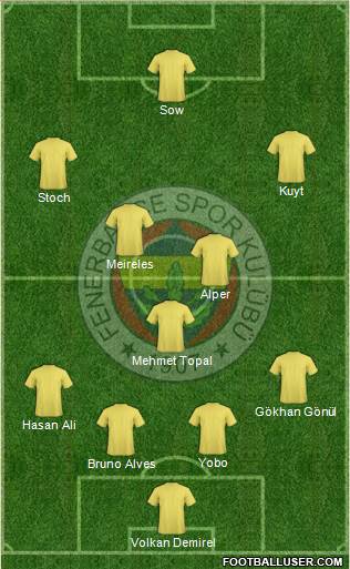 Fenerbahçe SK Formation 2013