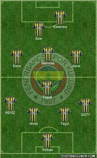 Fenerbahçe SK Formation 2013