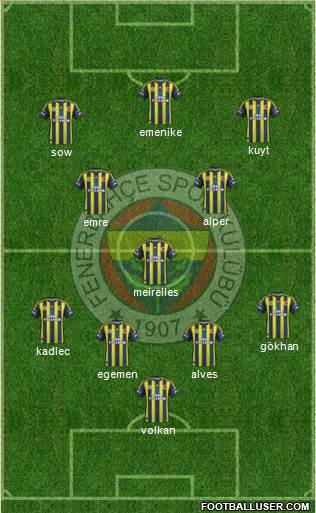 Fenerbahçe SK Formation 2013