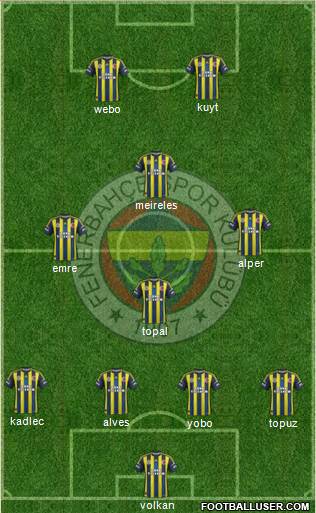 Fenerbahçe SK Formation 2013