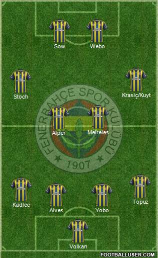 Fenerbahçe SK Formation 2013