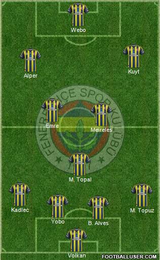 Fenerbahçe SK Formation 2013