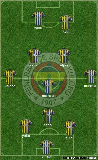 Fenerbahçe SK Formation 2013
