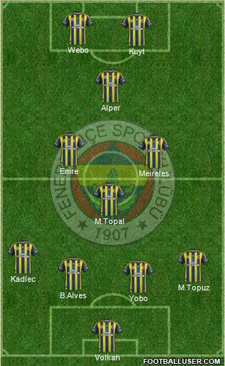 Fenerbahçe SK Formation 2013