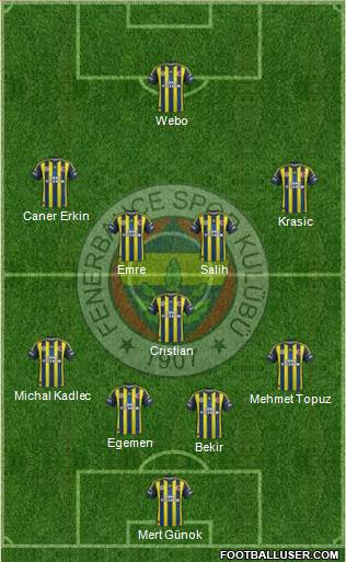 Fenerbahçe SK Formation 2013