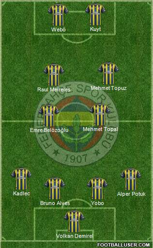 Fenerbahçe SK Formation 2013