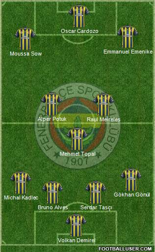 Fenerbahçe SK Formation 2013