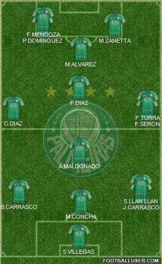 SE Palmeiras Formation 2013