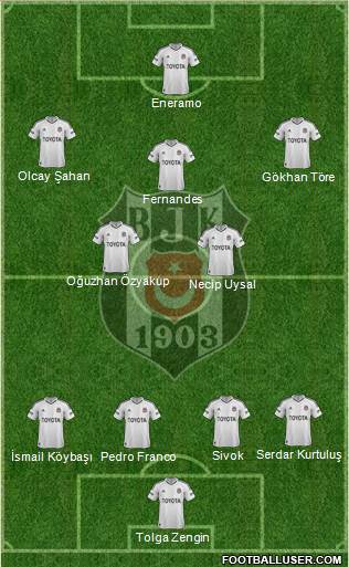 Besiktas JK Formation 2013