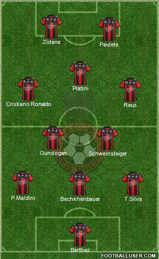 OGC Nice Côte d'Azur Formation 2013