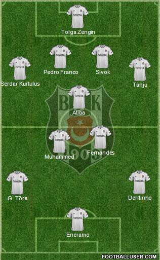 Besiktas JK Formation 2013